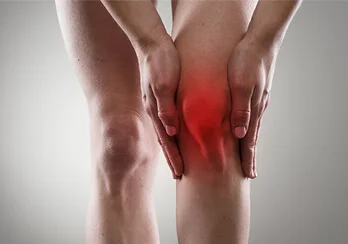 fatos mitos condromalacia patelar miniatura