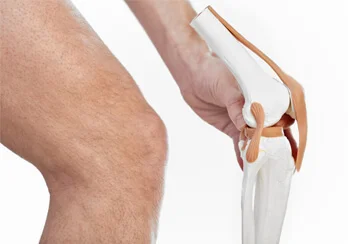 cirurgia rotura menisco miniatura