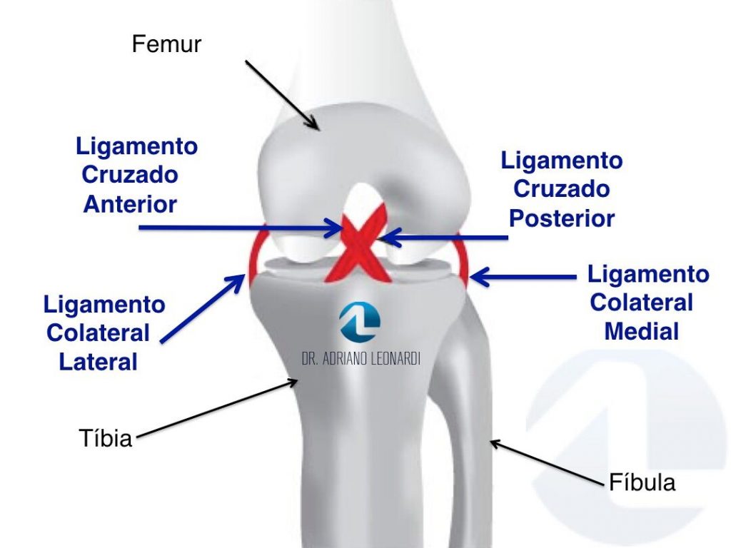 Ligamentos do joelho e lesões.