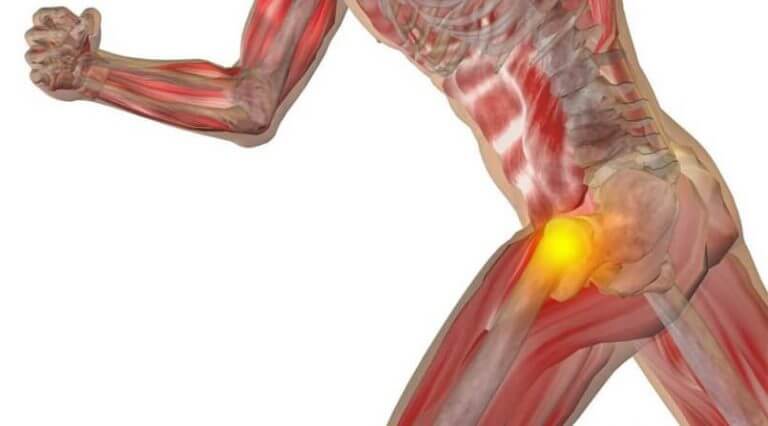 impacto femoroacetabular lesao labral quadril miniatura