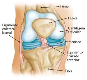 lesão condral do joelho