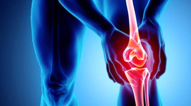 terapia regenerativa lesao condral miniatura