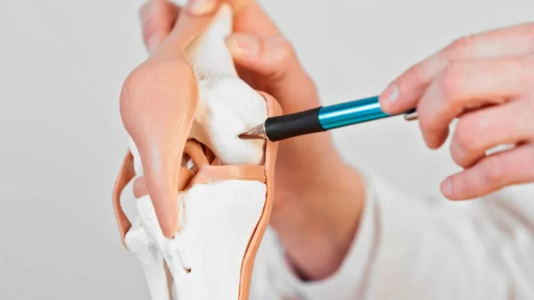 Reparo e regeneração da cartilagem.