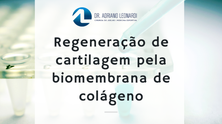 Regeneração de cartilagem pela biomembrana de colágeno